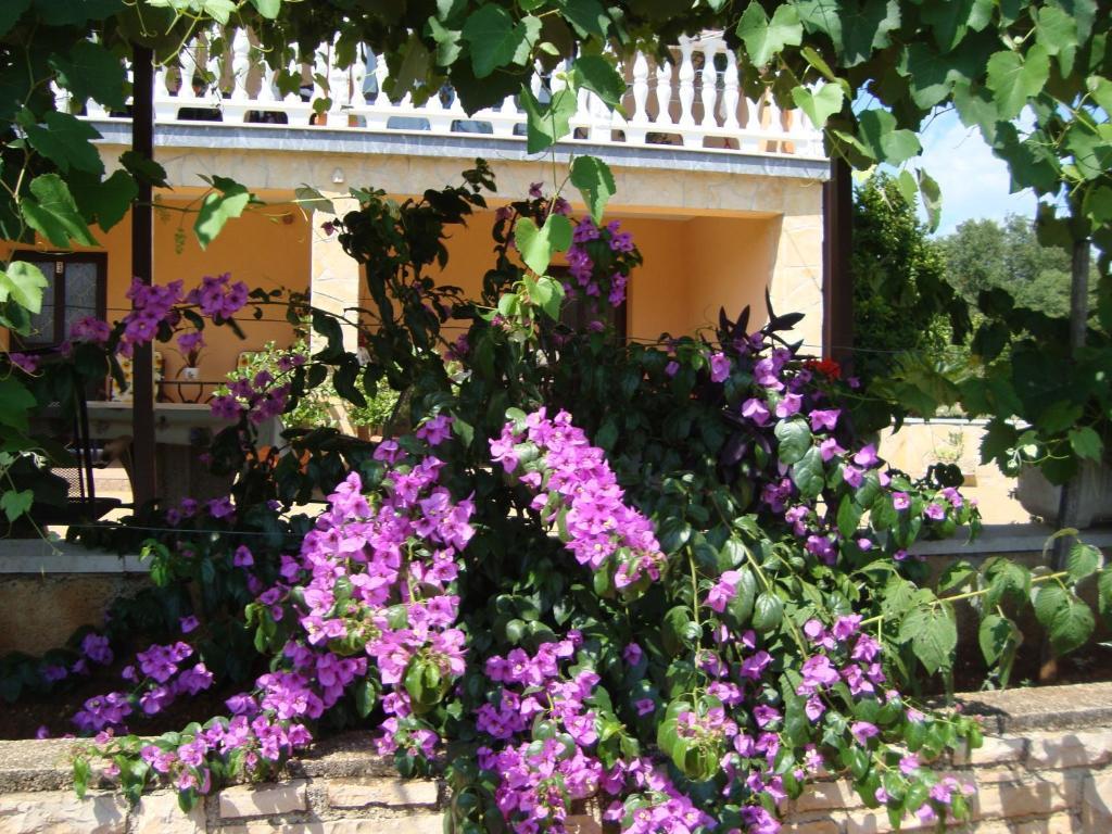 Apartments Alice Green Oasis - Poreč Quarto foto